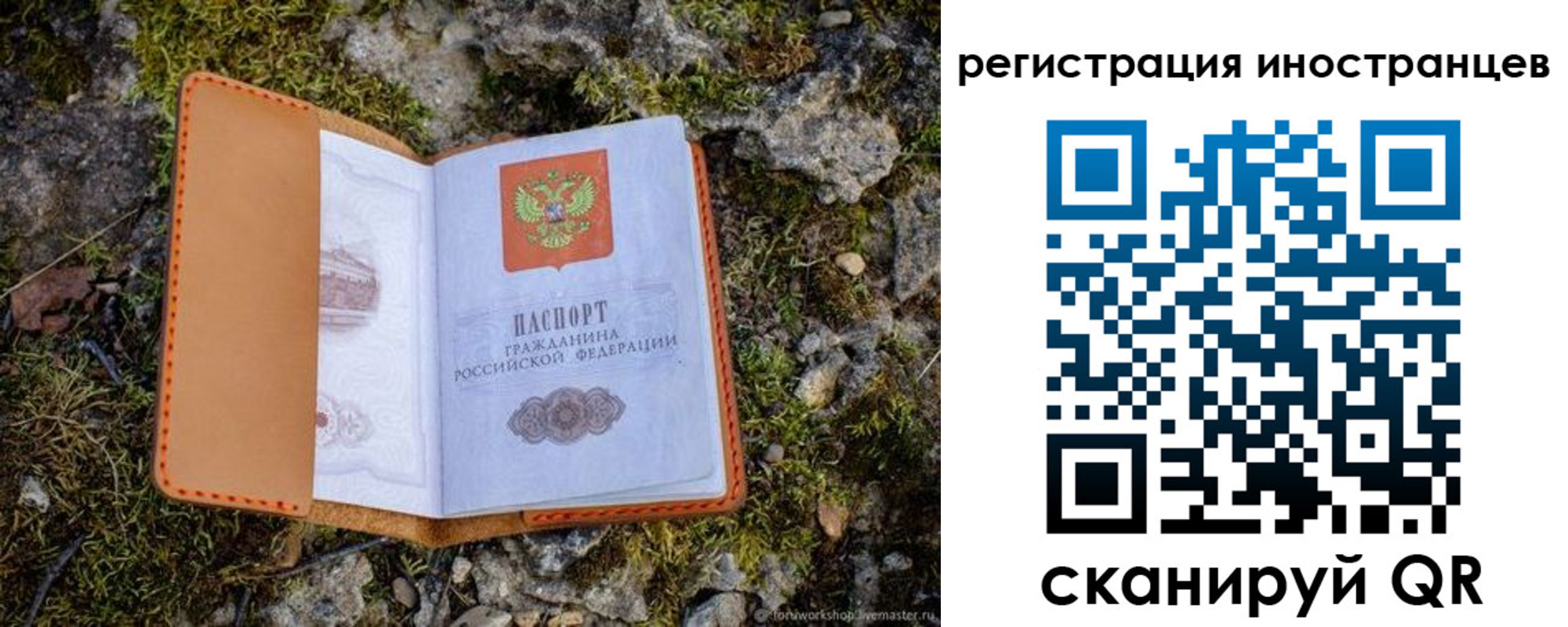 прописка паспорт в Лесозаводске